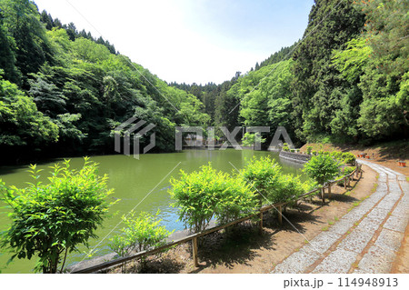 新緑の善宝寺 114948913