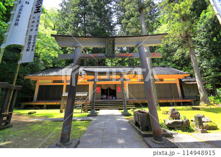 新緑の善宝寺 114948915