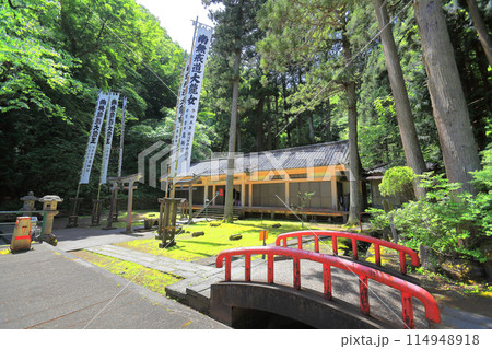 新緑の善宝寺 114948918