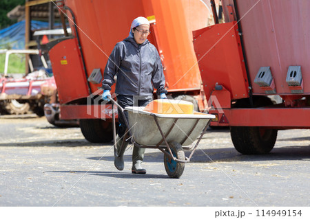 牧場で働く人々　酪農家 114949154