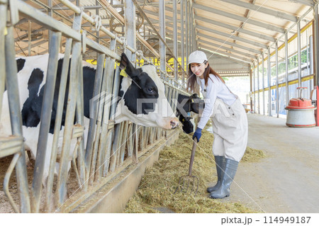 牧場で働く人々　酪農家 114949187