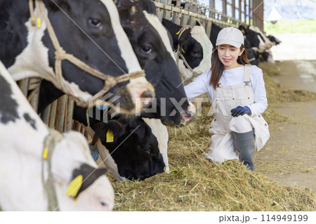 牧場で働く人々　酪農家 114949199
