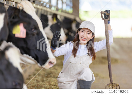 牧場で働く人々　酪農家 114949202