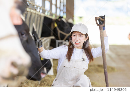 牧場で働く人々 酪農家 牧場で働く人々 酪農家 114949203
