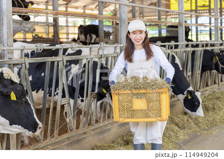 牧場で働く人々　酪農家 114949204