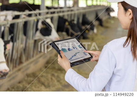 牧場で働く人々 酪農家 牧場で働く人々 酪農家 114949220