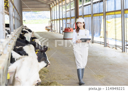 牧場で働く人々　酪農家 114949221