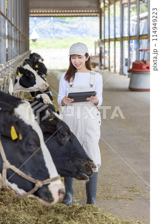 牧場で働く人々　酪農家 114949223