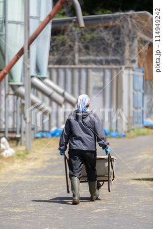 牧場で働く人々　酪農家 114949242