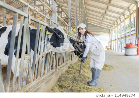 牧場で働く人々 酪農家 牧場で働く人々 酪農家 114949274
