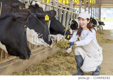 牧場で働く人々　酪農家 114949282