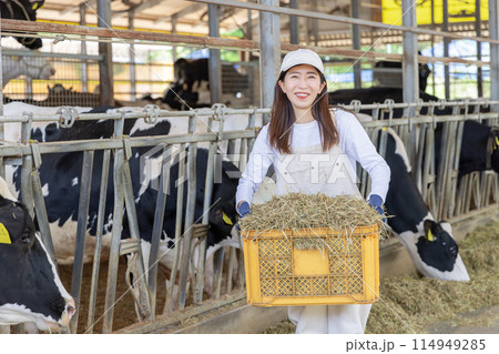 牧場で働く人々　酪農家 114949285