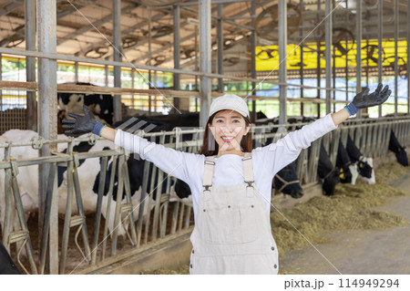 牧場で働く人々　酪農家 114949294