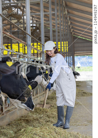 牧場で働く人々　酪農家 114949297