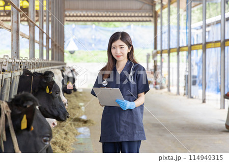 牧場で働く人々　獣医 114949315