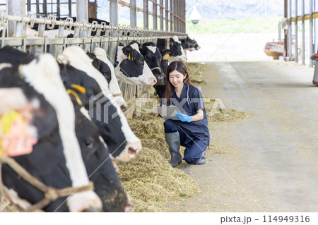 牧場で働く人々 獣医 牧場で働く人々 獣医 114949316