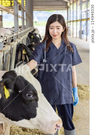 牧場で働く人々　獣医 114949330