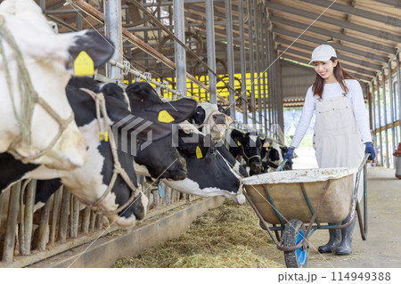 牧場で働く人々 酪農家 牧場で働く人々 酪農家 114949388
