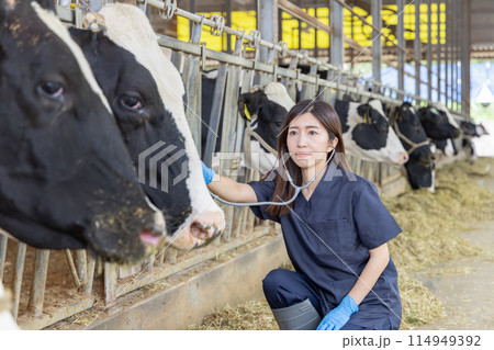 牧場で働く人々　獣医 114949392