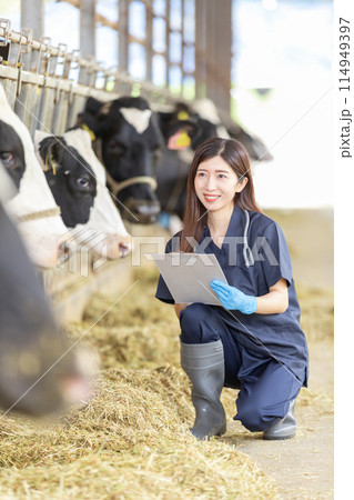 牧場で働く人々　獣医 114949397