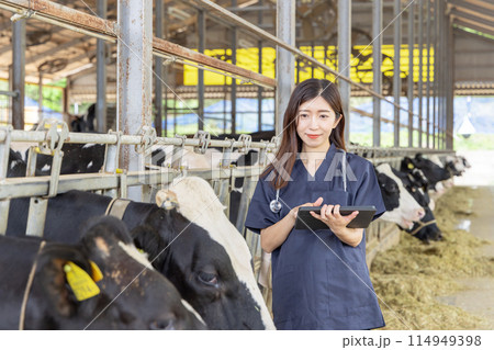 牧場で働く人々　獣医 114949398