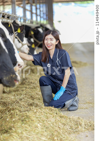 牧場で働く人々　獣医 114949400