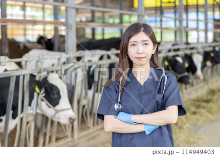 牧場で働く人々　獣医 114949403