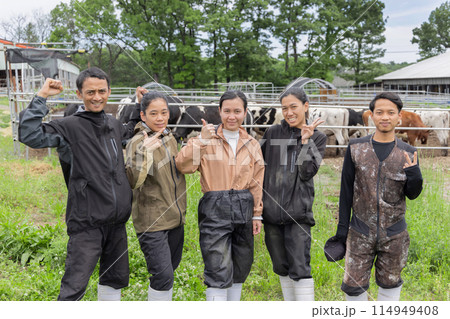 酪農　牧場　出稼ぎ　外国人　受け入れ 114949408