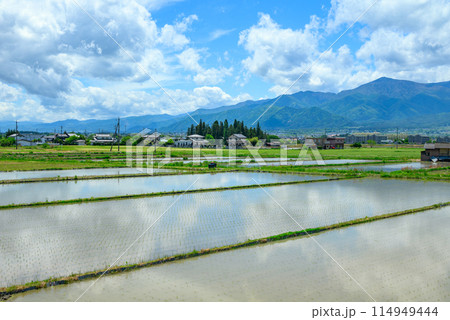 初夏の安曇野 114949444
