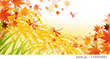 稲　秋　田舎　風景　背景 114950063