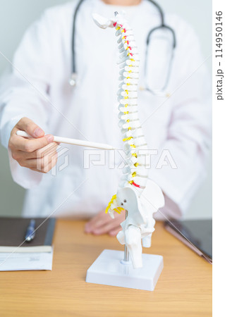 Doctor with human Spine anatomy model. Spinal Cord Disorder and disease, Back pain, Lumbar, Sacral pelvis, Cervical neck, Thoracic, Coccyx, Orthopedist, chiropractic, Office Syndrome and health Doctor with human Spine anatomy model. Spinal Cord Disorder and disease, Back pain, Lumbar, Sacral pelvis, Cervical neck, Thoracic, Coccyx, Orthopedist, chiropractic, Office Syndrome and health 114950146