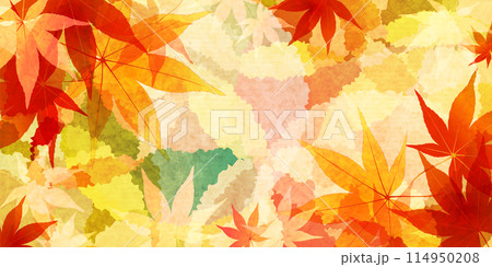 紅葉　葉　秋　背景	 114950208