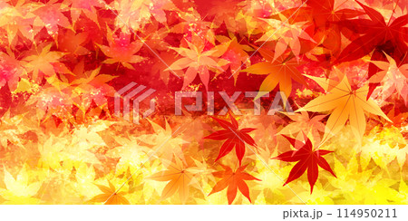 紅葉　葉　秋　背景	 114950211
