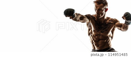 Boxer with Gloves Ready to Train 114951485
