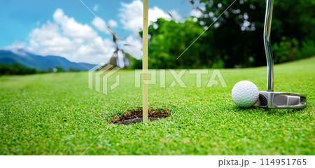 Close up golf ball on green grass field Close up golf ball on green grass field 114951765