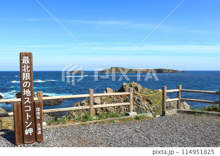 礼文島スコトン岬から眺めるトド島 114951825