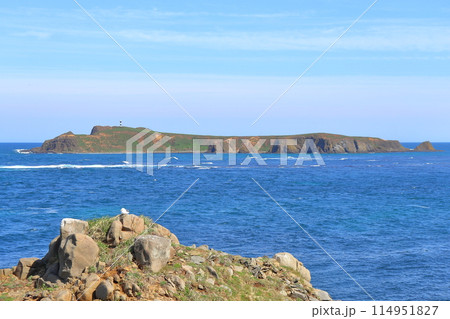 礼文島スコトン岬から眺めるトド島 礼文島スコトン岬から眺めるトド島 114951827