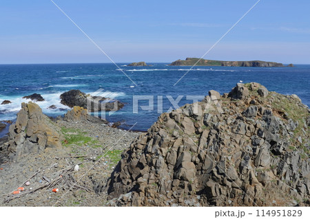 礼文島スコトン岬から眺めるトド島 礼文島スコトン岬から眺めるトド島 114951829
