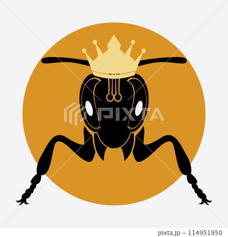 bee logo illustrations design icon bee logo illustrations design icon 114951950