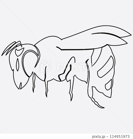 bee logo illustrations design icon bee logo illustrations design icon 114951973