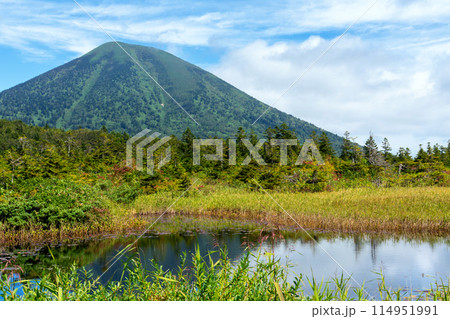 【青森県八甲田山】睡蓮沼と北八甲田連峰 【青森県八甲田山】睡蓮沼と北八甲田連峰 114951991