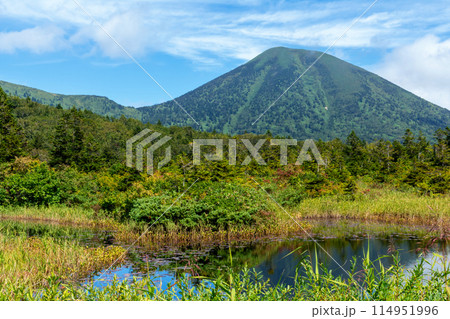 【青森県八甲田山】睡蓮沼と北八甲田連峰 114951996