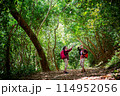 Two Asian Female hikers walk and took photos in the forest 114952056