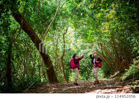 Two Asian Female hikers walk and took photos in the forest 114952056