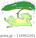 雨宿りをするカエル 114952201