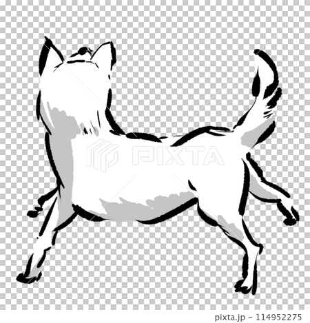 狗向後仰視 114952275