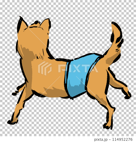 穿著尿布的後向狗 114952276