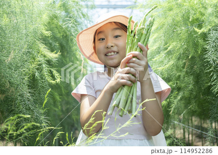 野菜の収穫を楽しむ子供 114952286
