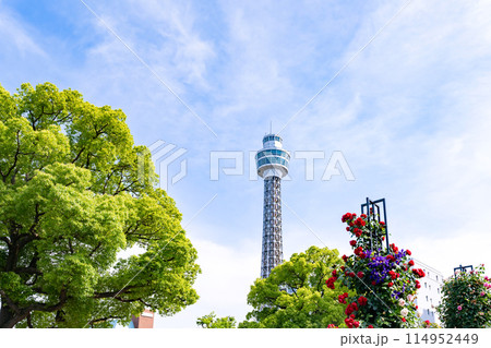 神奈川県横浜市 5月の山下公園の風景(ローズガーデン) 神奈川県横浜市 5月の山下公園の風景(ローズガーデン) 114952449