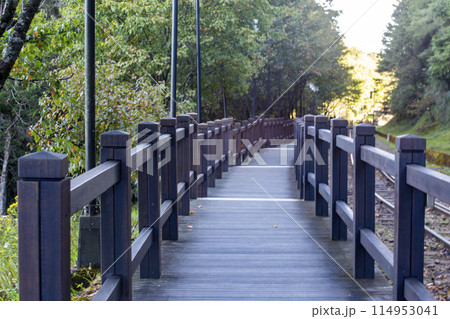 Wooden Footpath In Alishan National Scenic Area, Taiwan. 114953041